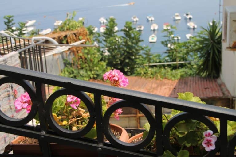 Scilla – fence, flowers and boats, July 2015 (Calabria)