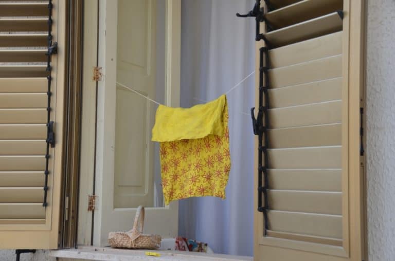 Scilla – yellow, July 2015 (Calabria)