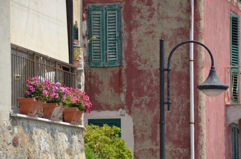 Scilla – flowerpots and lamp, July 2015 (Calabria)