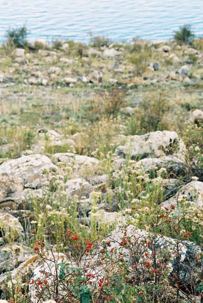 Armenia, Sevan – ground, Autumn 2005