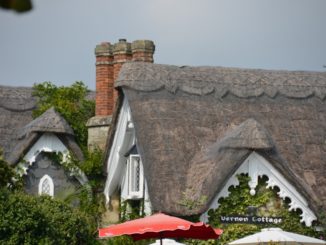 England, Isle of Wight – parasols, Sept.2014