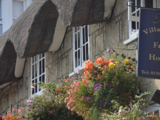 England, Isle of Wight – parasols, Sept.2014