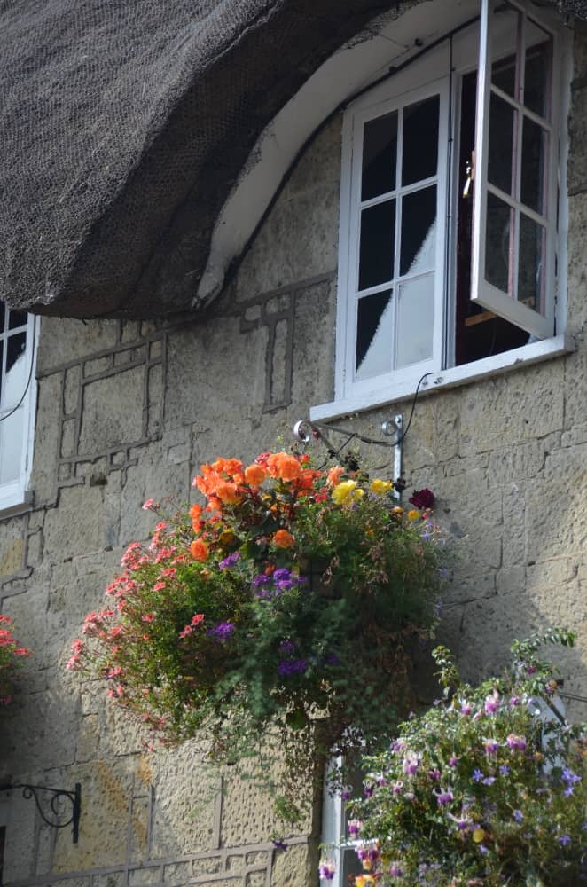 Inghilterra, Isola di Wight – finestra e fiori, set. 2014 (Isola di Wight)