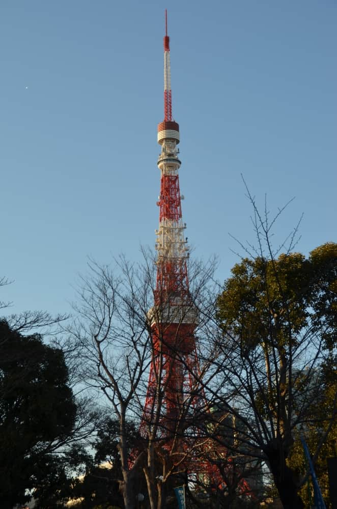 日本、東京、芝―東京タワー 2015年1月 (東京)