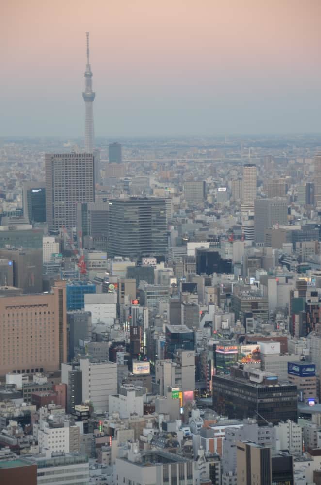 日本、東京、芝―スカイツリー 2015年1月 (東京)