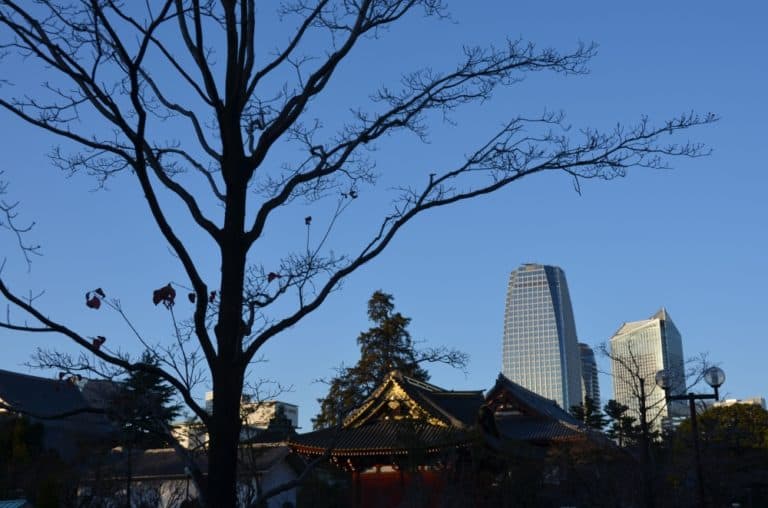 日本、東京、芝―木 2015年1月 (東京)