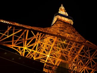 Deliziosa esperienza sulla Tokyo Tower