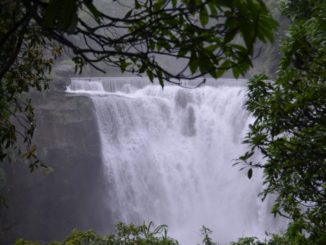 The Waterfall in the Jungle