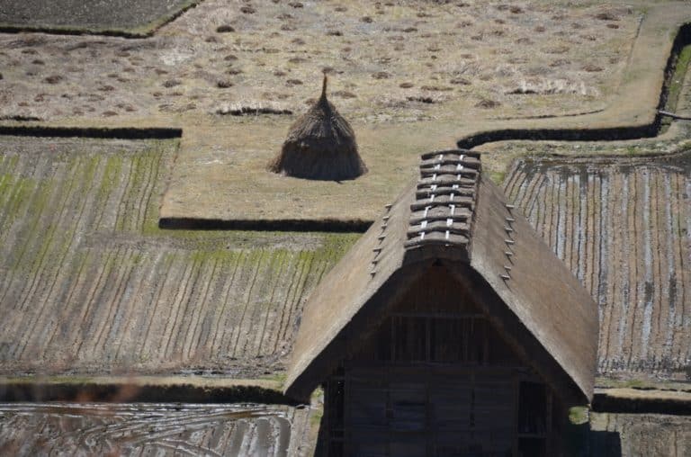 Shirakawago – field and hut, Mar.2016 (Gifu)