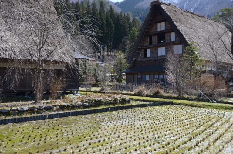 Shirakawago – rice field, Mar.2016 (Gifu)