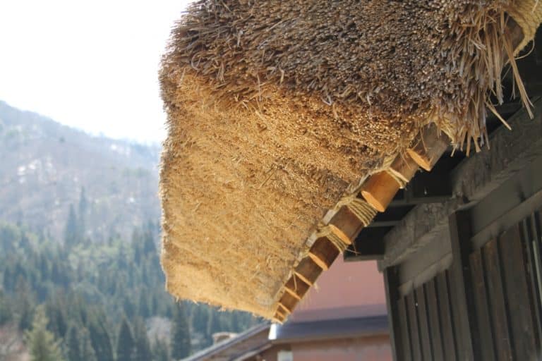 Shirakawago – thickness, Mar.2016 (Gifu)