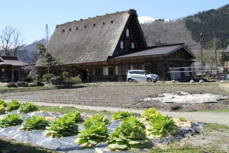 Shirakawago – vegetables, Mar.2016 (Gifu)