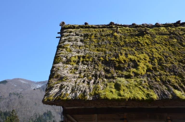 Shirakawago – museum – old roof, Mar.2016 (Gifu)