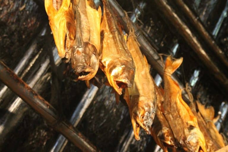 Japan, Shiraoi – dried fish, Sept. 2014 (Shiraoi)