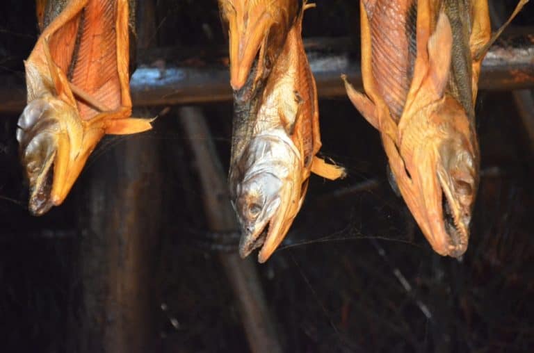 Japan, Shiraoi – fish, Sept. 2014 (Shiraoi)