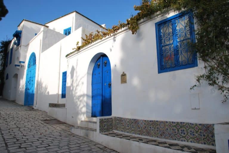 Tunisia, Sidi Bou Said – slope, Dec. 2008 (Tunis)