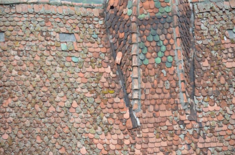 Romania, Sighisoara – roof, Apr. 2014 (Sighisoara)