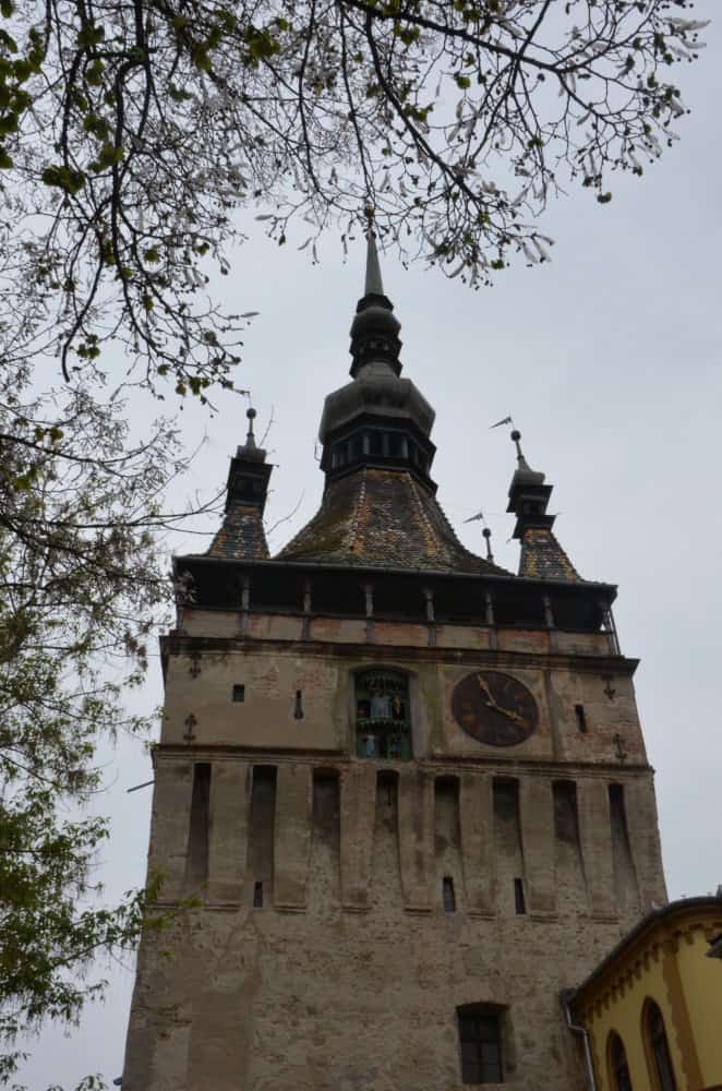 Romania, Sighisoara – clock tower, Apr. 2014 (Sighisoara)