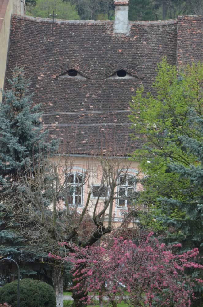 Romania, Sighisoara – eyes of roof, Apr. 2014 (Sighisoara)