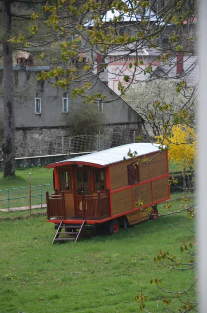 Romania, Sinaia – in the garden, Apr. 2014 (Sinaia)