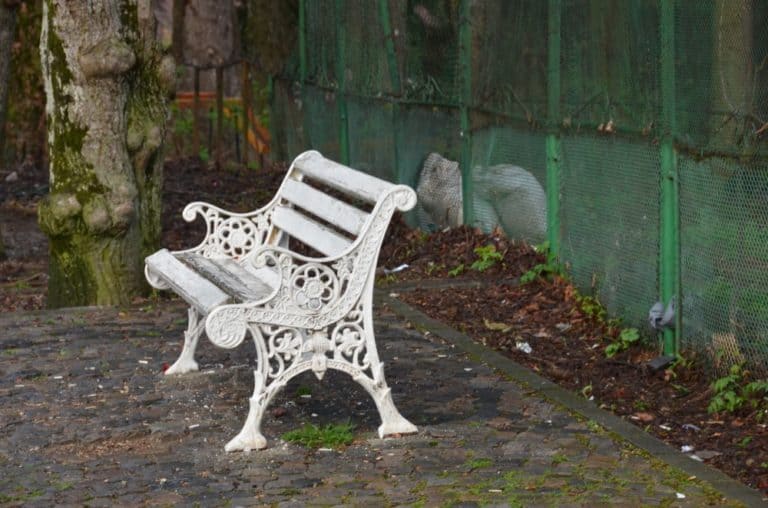 Romania, Sinaia – white bench, Apr. 2014 (Sinaia)