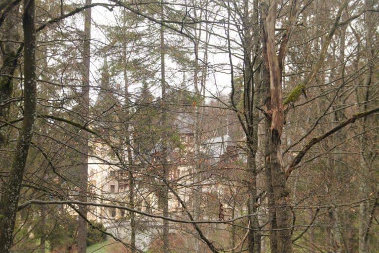Romania, Sinaia – behind trees, Apr. 2014 (Sinaia)