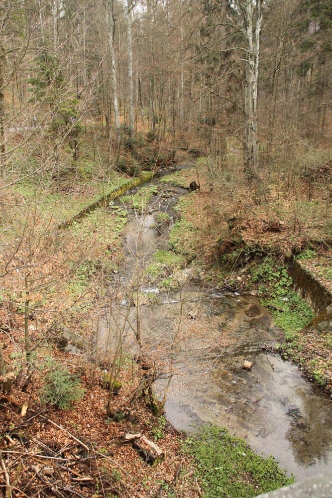 Romania, Sinaia – nature, Apr. 2014 (Sinaia)