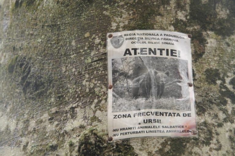 Romania, Sinaia – warning, Apr. 2014 (Sinaia)
