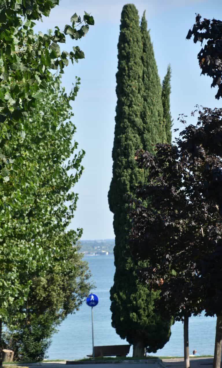 Sirmione 2021 (12) (Lombardia)