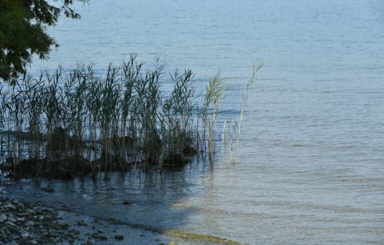 Sirmione 2021 (15) (Lombardia)