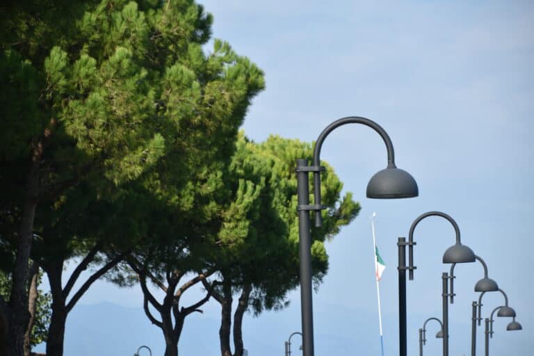 Sirmione 2021 (19) (Lombardia)