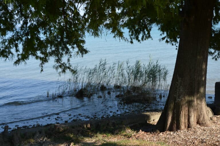 Sirmione 2021 (22) (Lombardia)
