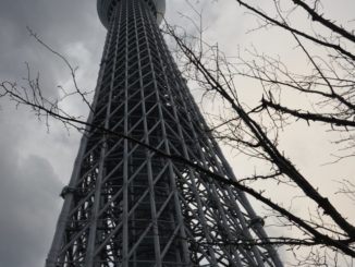 Japan, Tokyo, Shiba – o-jizo-san 2, Jan.2015