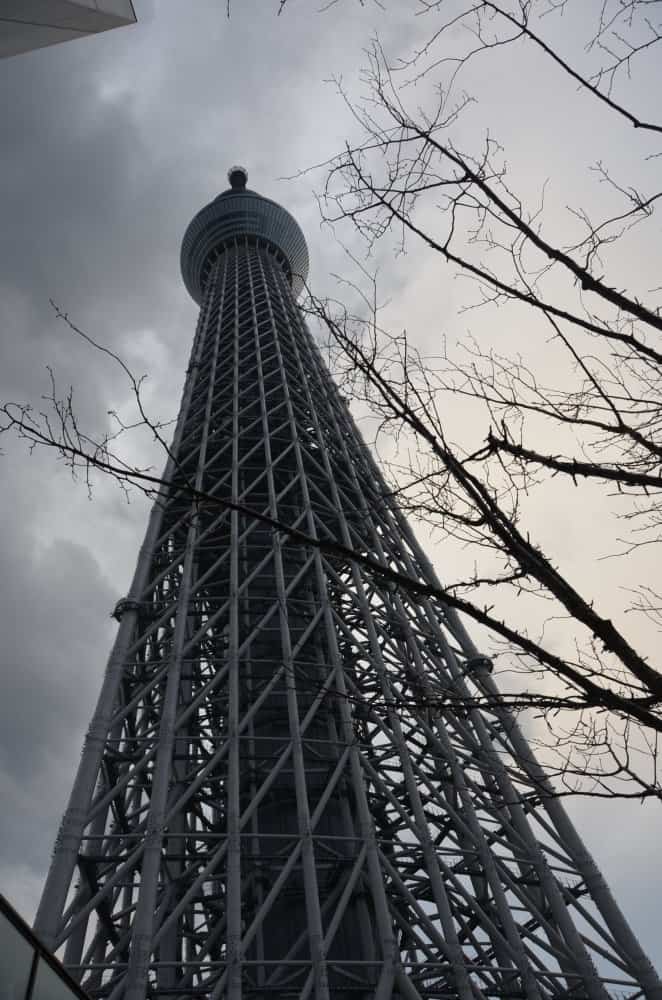 日本、東京－スカイツリー2014年1月 (東京)
