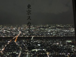 Japan, Tokyo – Sky Tree view20, Jan.2014