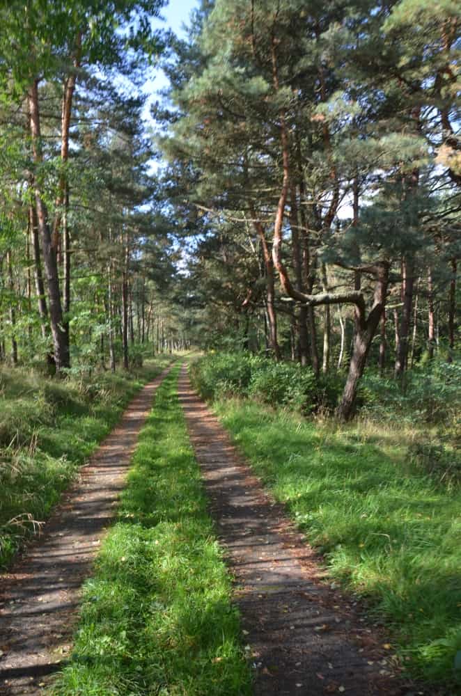 Lithuania, Smiltyne – road, Sept.2014 (Klaipeda)