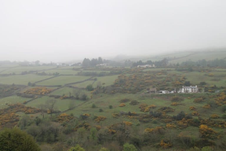 Isle of Man, Snaefell – from train window, May 2014 (Isle of Man)