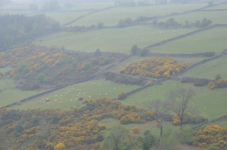Isle of Man, Snaefell – division, May 2014 (Isle of Man)