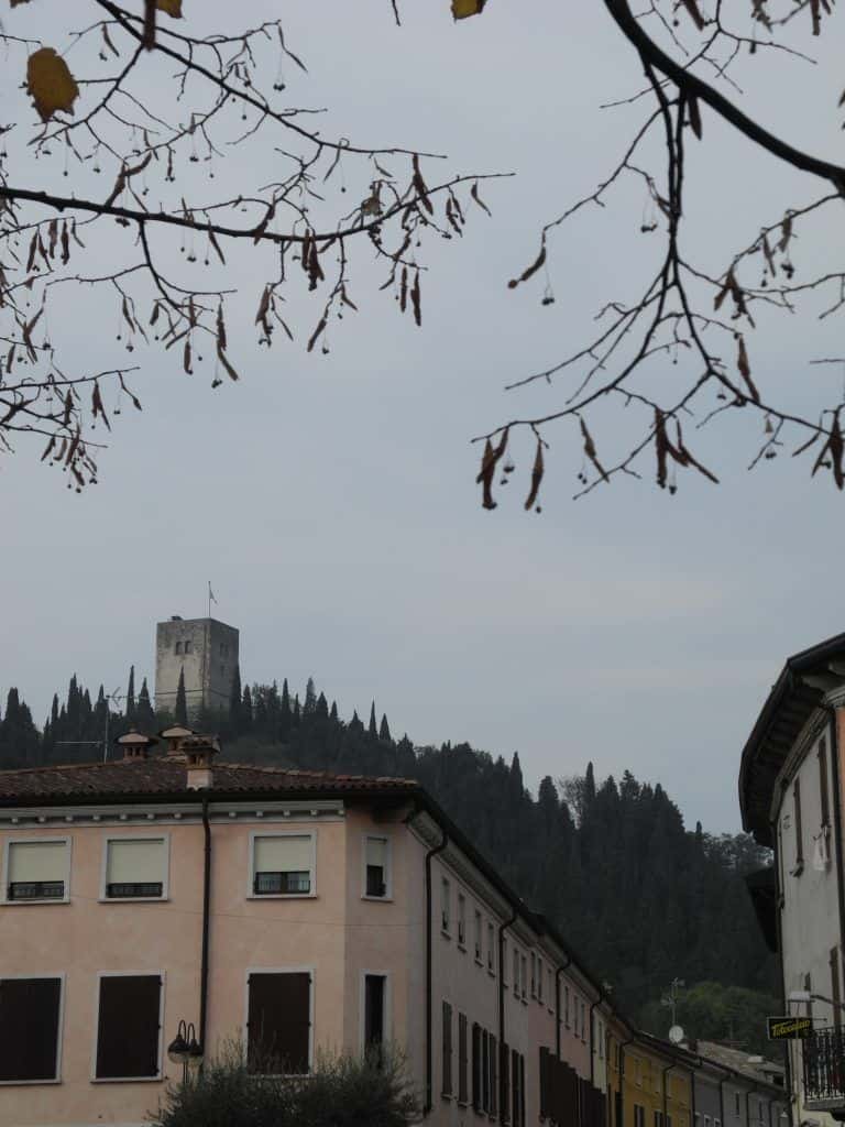 Solferino – branches, Oct.2017 (Lombardia)