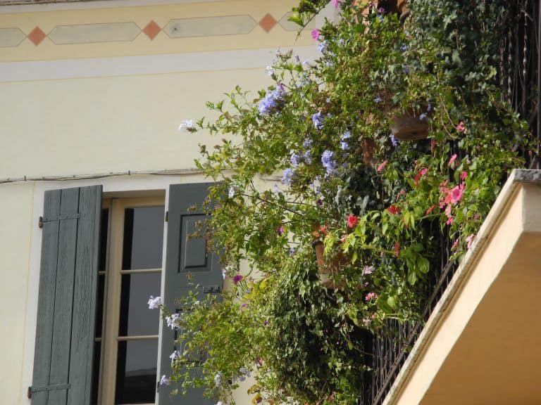 Solferino – window and balcony, Oct.2017 (Lombardia)