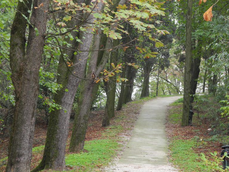 Solferino – path, Oct.2017 (Lombardia)