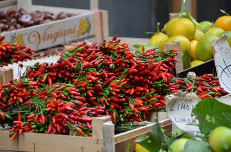 Sorrento – peperoncino, Ott.2015 (Costiera Amalfitana)