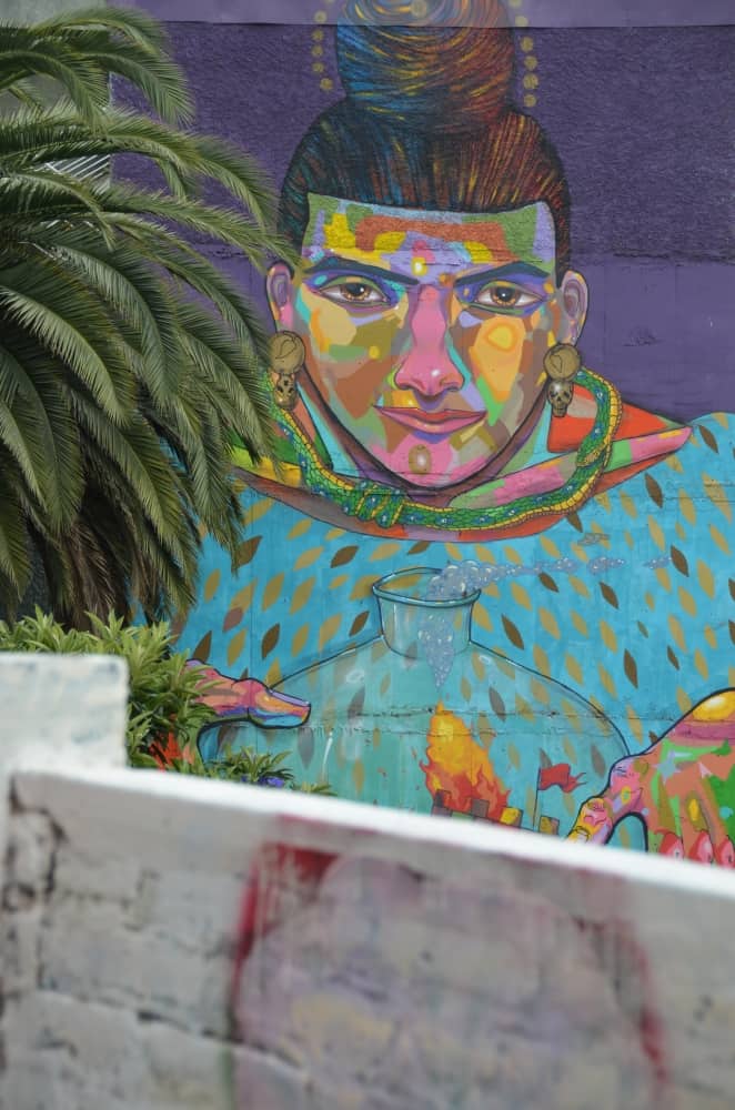 Concepcion – volto sul muro, Dic.2015 (Valparaiso)