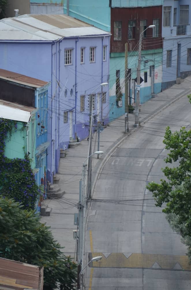 Concepcion – case viola, Dic.2015 (Valparaiso)