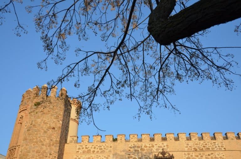 Spain, Toledo – wall and tree, Mar. 2014 (Toledo)