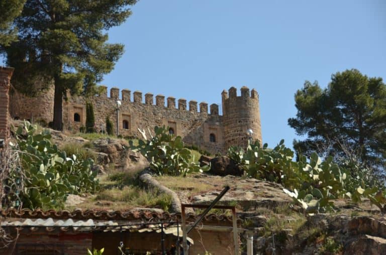 Spagna, Toledo – cactus, mar. 2014 (Toledo)