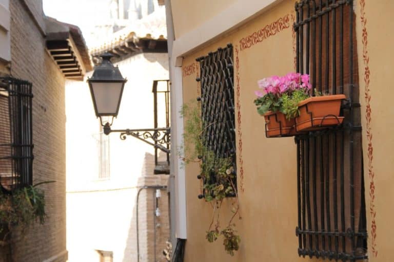 Spain, Toledo – lamp and flowers, Mar. 2014 (Toledo)