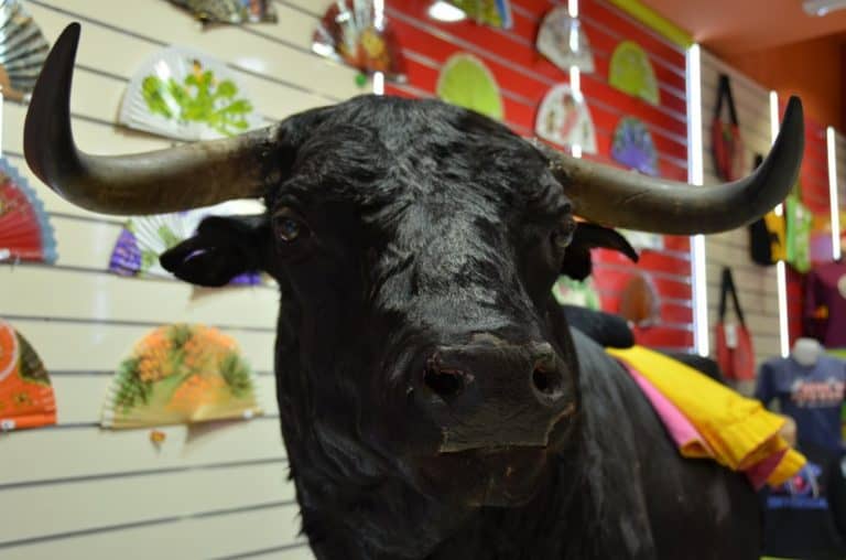 Spain, Toledo – bull, Mar. 2014 (Toledo)