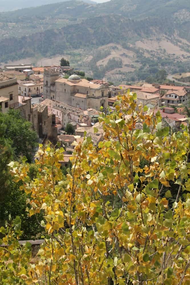 Stilo – città oltre gli alberi, Luglio 2015 (Calabria)
