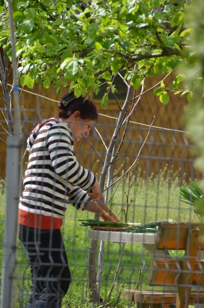 Romania, Snagov – pronto per la cena, apr. 2014 (Bucarest)